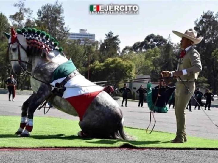 Usarán mil 400 caballos en desfile revolucionario Usarán mil 400 caballos en desfile revolucionario