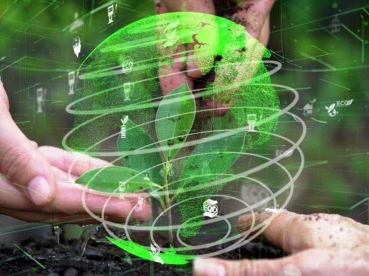Crecen las empresas sostenibles y responsables con medio ambiente Crecen las empresas sostenibles y responsables con medio ambiente