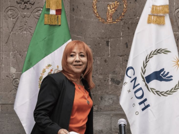 CNDH acusa al consejero Saavedra de burla y discriminación hacia Piedra Ibarra por video en redes CNDH acusa al consejero Saavedra de burla y discriminación hacia Piedra Ibarra por video en redes