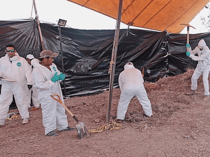 Desaparece información sobre las fosas de Tetelcingo y Jojutla Desaparece información sobre las fosas de Tetelcingo y Jojutla