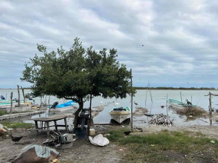 Pescadores esperan apoyos de Bienestar Pescadores esperan apoyos de Bienestar