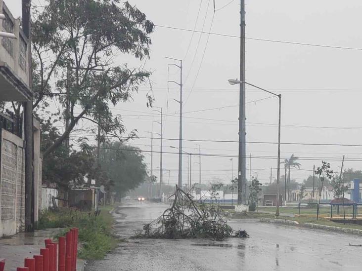 Frente frío deja basura y fallas Frente frío deja basura y fallas