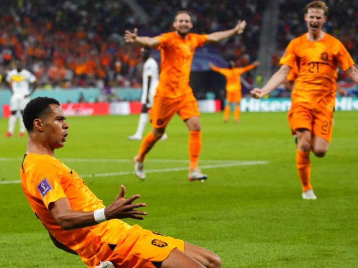 Holanda anestesia 2-0 en la agonía a Senegal Holanda anestesia 2-0 en la agonía a Senegal