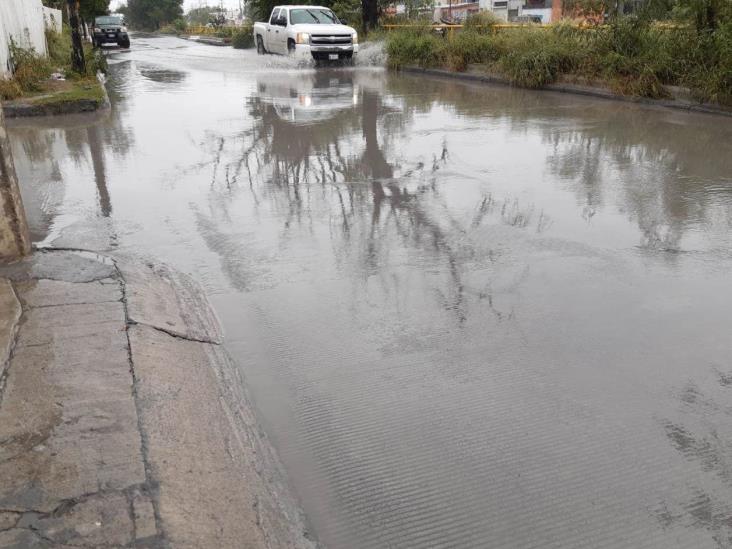 Dejan lluvias cables caídos y encharcamientos Dejan lluvias cables caídos y encharcamientos