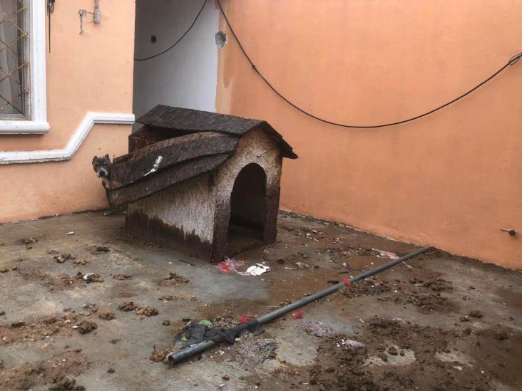 Lo rodea el frío, lluvia y suciedad Lo rodea el frío, lluvia y suciedad