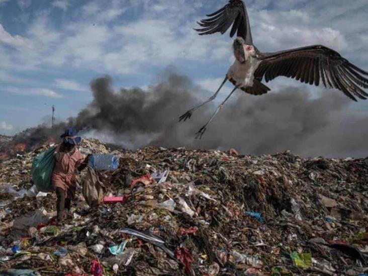 Ven químicos peligrosos y destrucción ambiental en Shein Ven químicos peligrosos y destrucción ambiental en Shein
